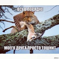 Прикольные и смешные картинки