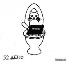 Как научить кошку ходить в унитаз? Инструкция