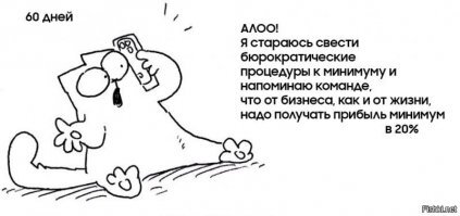 Как научить кошку ходить в унитаз? Инструкция