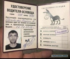 Ни видищь мы жинимся!