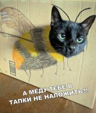 Гигантский шершень: Этот монстр захватил Азию, а теперь он надвигается на Россию