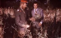 Как растут ананасы