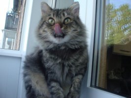 Моё чудушко