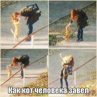 Хохотальня