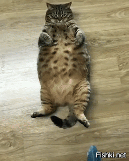 там сосед вооооот такууууую рыбину поймал