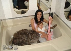 Возможно им нравится фильм Я легенда.