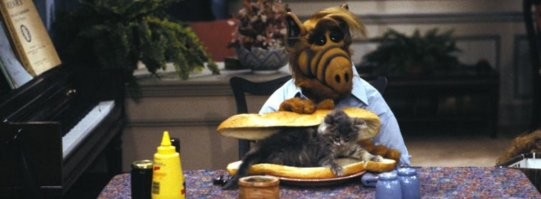 Помните сериал "Альф"? Интересные факты о легендарном ситкоме 80-х и 90-х