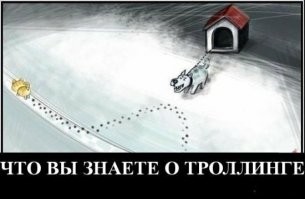 Прикольные и смешные картинки