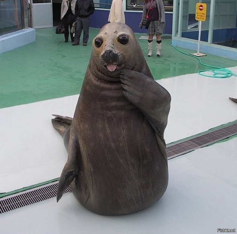 Солянка от 23.06.2020