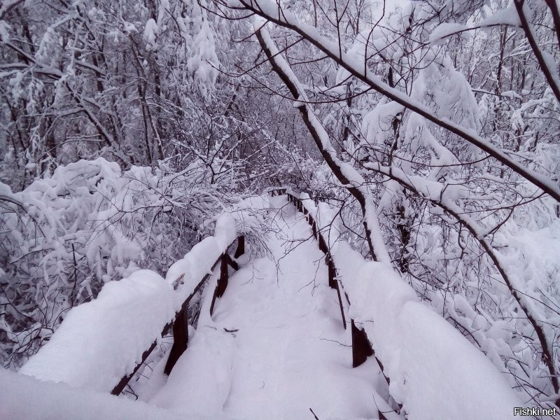 Солянка от 23.06.2020