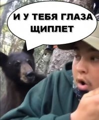 Эта встреча с медведем "лицом к лицу" запомнится охотникам надолго