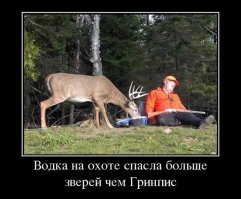 Смешные картинки