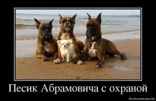 Смешные картинки