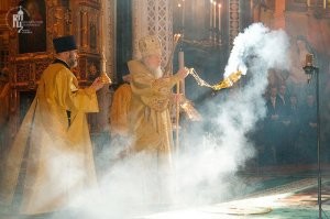 "Дым не только успокаивает насекомых, но и позволяет человеку обмануть их для своей выгоды."