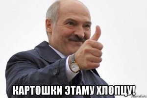 Мужчина сделал приспособление, удаляющее с урожая колорадских жуков