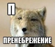Класс , вот ещё про неё :
"Тибетская лисица охотится на пищух, иногда следуя за тибетским бурым медведем (Ursus arctos pruinosus), у которого больше сил для раскапывания вечной мерзлоты в поисках нор пищух"
Ну и немного приколов про неё: