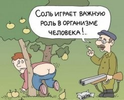 За ягоды у соседа , можно и соли бесплатно получить