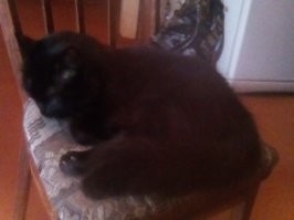 Её и не так зовут.