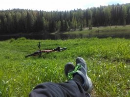 Смешные картинки