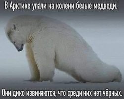 Смешные картинки