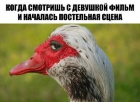 Не, ты на неё