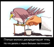 Гавайскую пиццу предложили запретить из-за издевательств колонистов над аборигенами