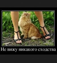 Фотогеничность не пропьёшь