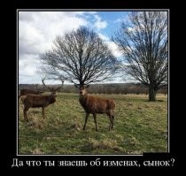 Да что ты знаешь о бароне Мюнхгаузене?