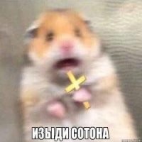 Прикольные и смешные картинки