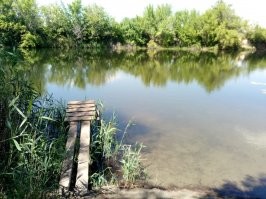 Прикольные и смешные картинки