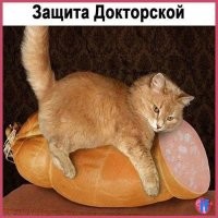 Смешные картинки