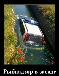 Четверг - рыбный день

.