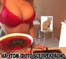Прикольные и смешные картинки