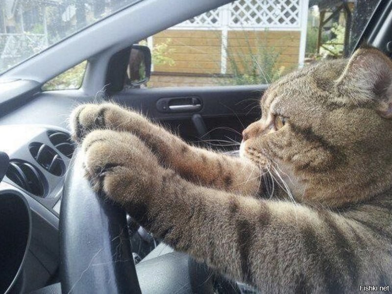 говорите адрес!