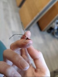 бывают - сразу фоткаем и в инет.