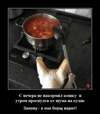 Осталось только научить сосать - и можно гнать всех лядей ссаными тряпками