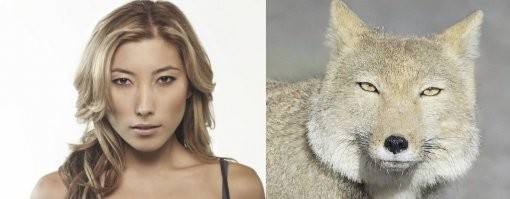 Раз настало время баянов, начнём: