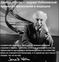 Раса тоже имеет свои особенности.