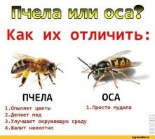 Подборка приколов
