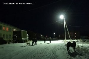 Смешные картинки