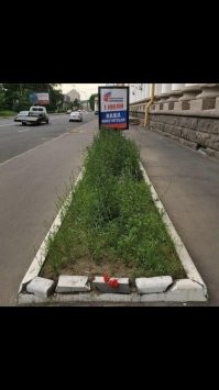 Набор подмосковного голосовальщика