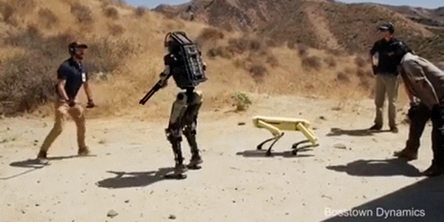 Солянка от 25.06.2020