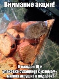 Нашел гайку в фруктовом мороженном
