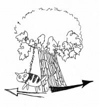 Это хатуль мадан.