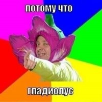 Почему укроп зеленый, хрустящий и такой полезный для здоровья?