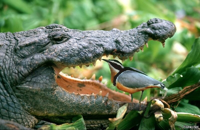 Солянка от 25.06.2020