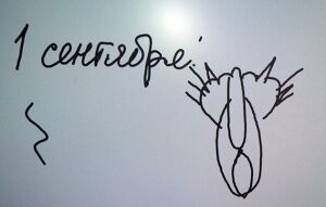 Сегодня купил в переходе,думаю ценный экземпляр, не знаете что это?