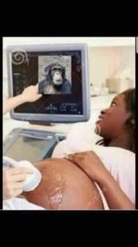 15 фото с изюминкой, которую нужно искать на заднем плане