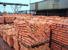 Спортсмен во время езды на самокате столкнулся с медведицей 