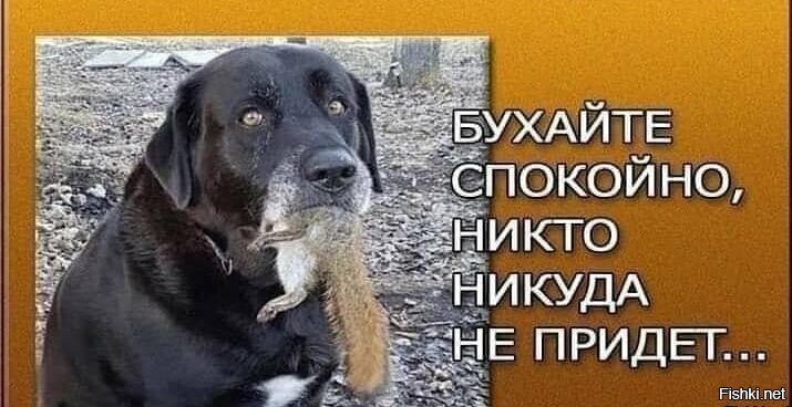 Солянка от 26.06.2020